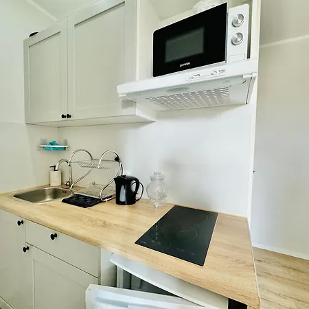 Przy Parku Apartment Chorzow Exterior photo